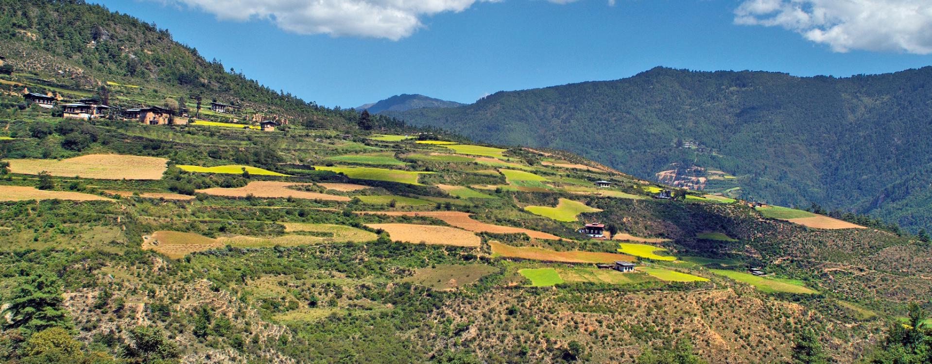 De groene vallei van Bumthang