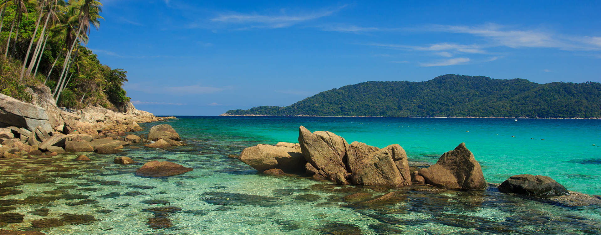 Orang oetans op Borneo