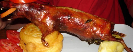 pe, algemeen, food (1).jpg