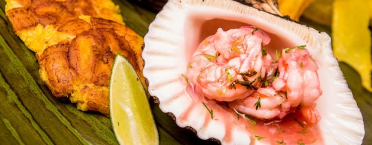 pe, algemeen, food (6).jpg