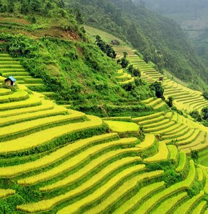 Sapa, Vietnam