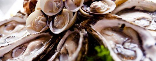 vn, algemeen, eten (22).jpg