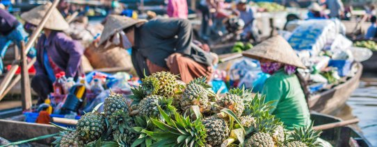 Drijvende markt in de Mekong Delta