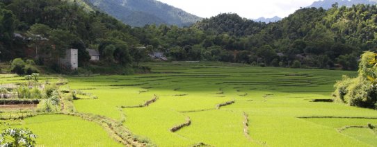 vn, mai chau, mai chau (48).jpg