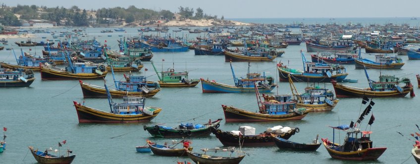 vn, mui ne, harbour (1).jpg