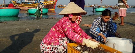 vn, mui ne, harbour (16).jpg