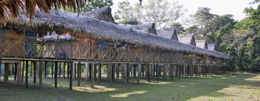 pe_iqt_muyuna (5).jpg