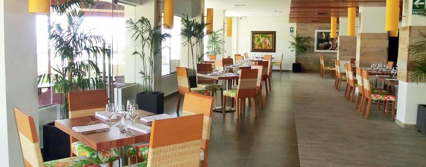 pe_pxr_aranwa (4).jpg