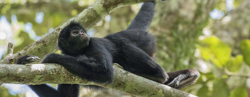 pe_pem_refugio amazonas (6).jpg