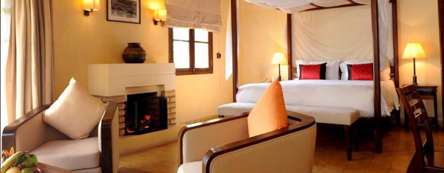 vn_dli_anamandara (4).jpg