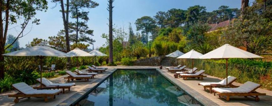 vn_dli_anamandara (1).jpg