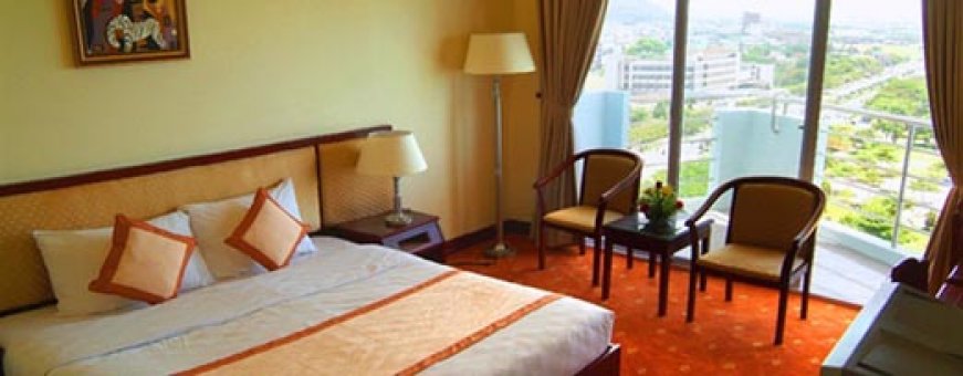 vn_qxy_seagull  (4).jpg