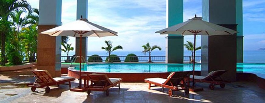 vn_qxy_seagull  (2).jpg