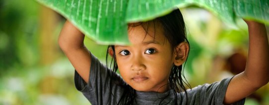 id, algemeen, hiding from rain under banana leaf.jpg