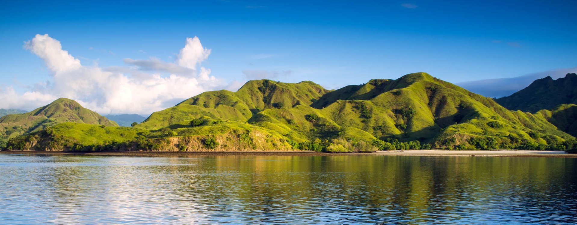 Komodovaraan, Komodo