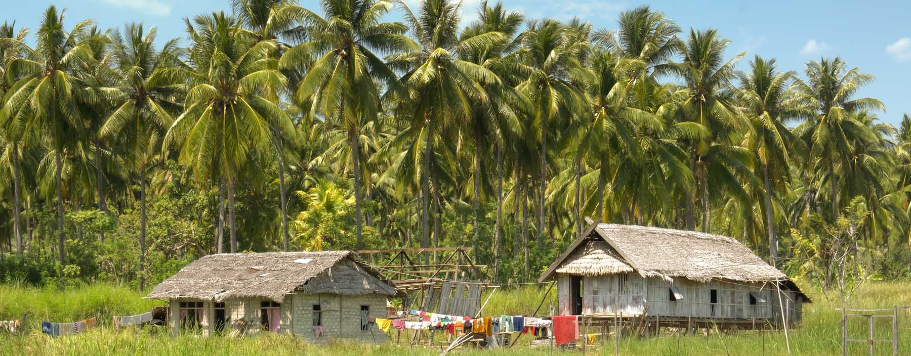 id, flores, riung, landscape.jpg