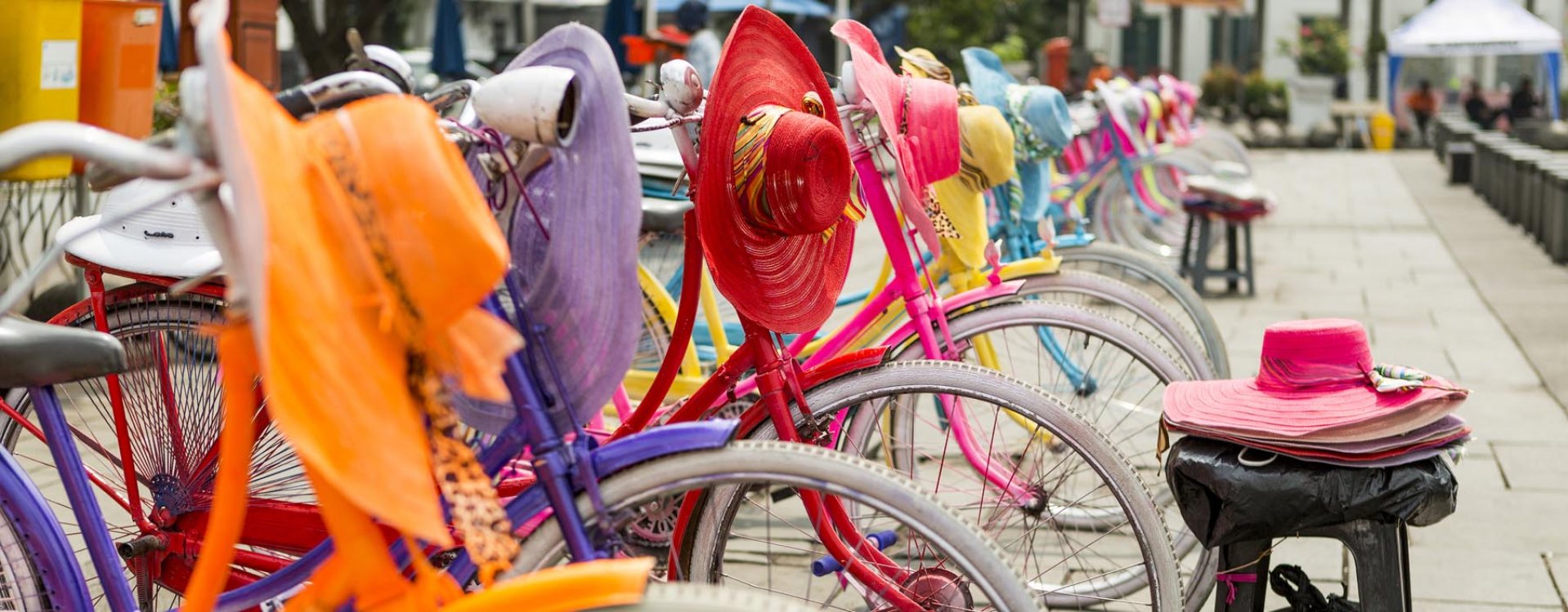 Orang-oetans, Sumatra