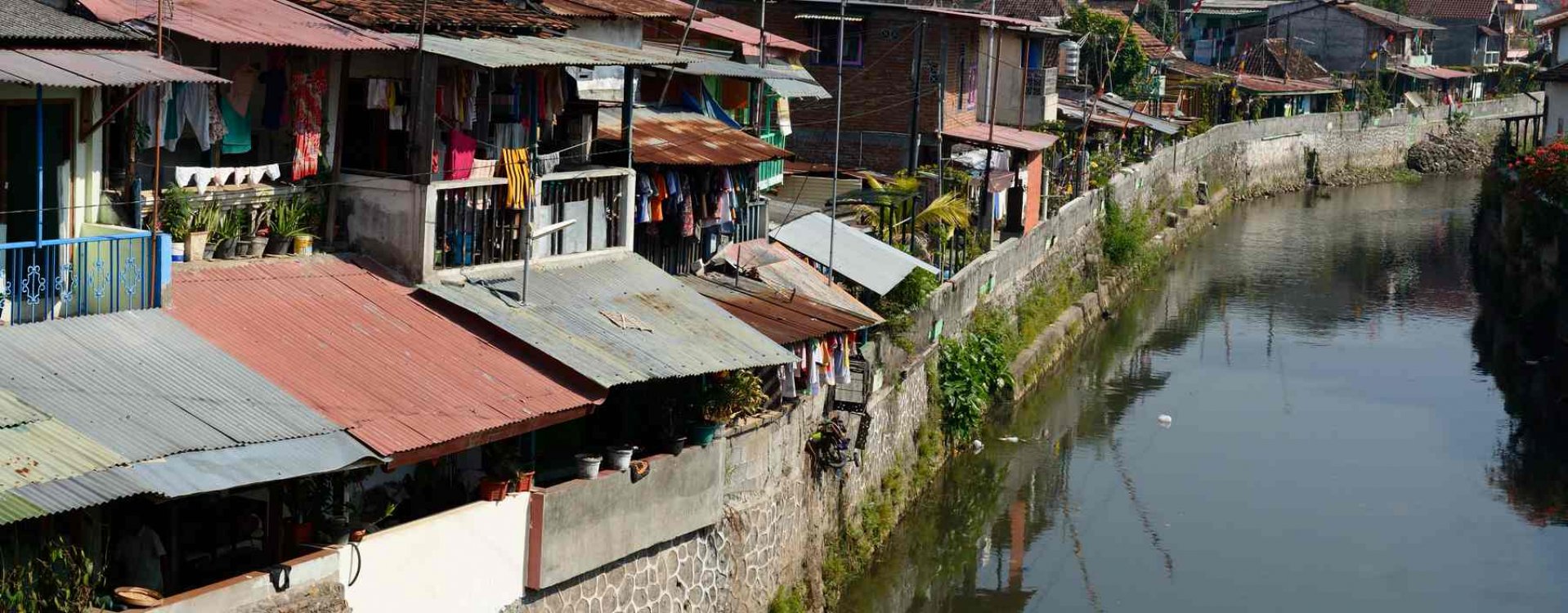 Orang-oetans, Bukit Lawang