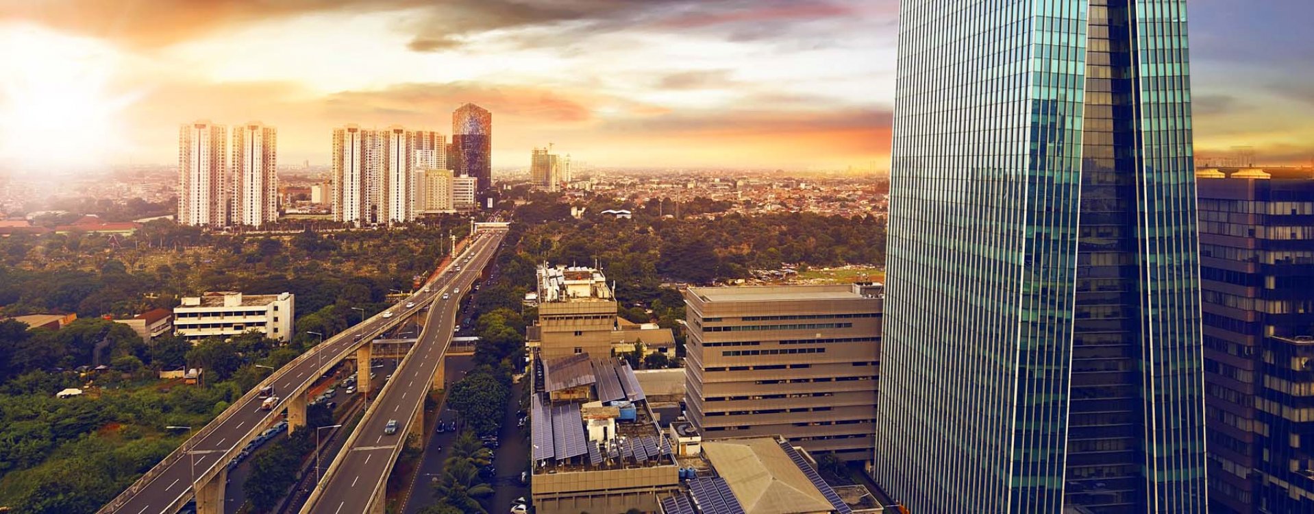 Rafflesia bloem, Sumatra