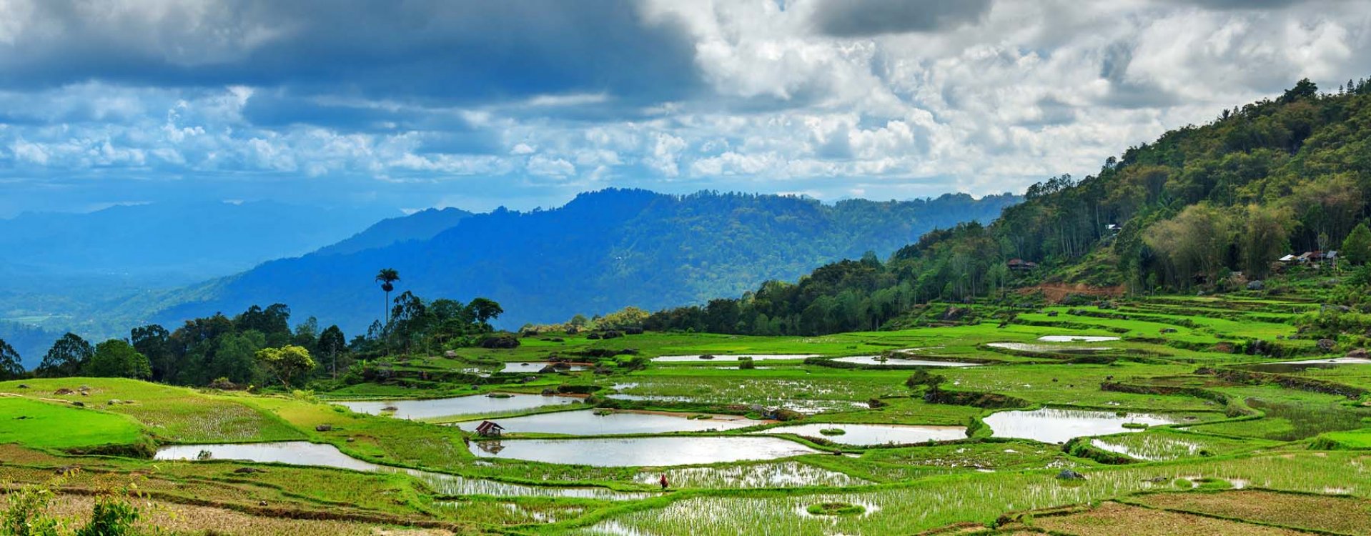 Dorp in Torajaland, Sulawesi
