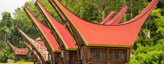 id, sulawesi, traditional village of residential buildings.jpg