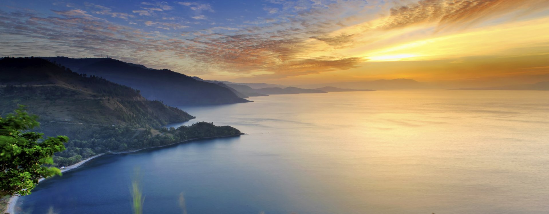 Orang-oetans, Bukit Lawang