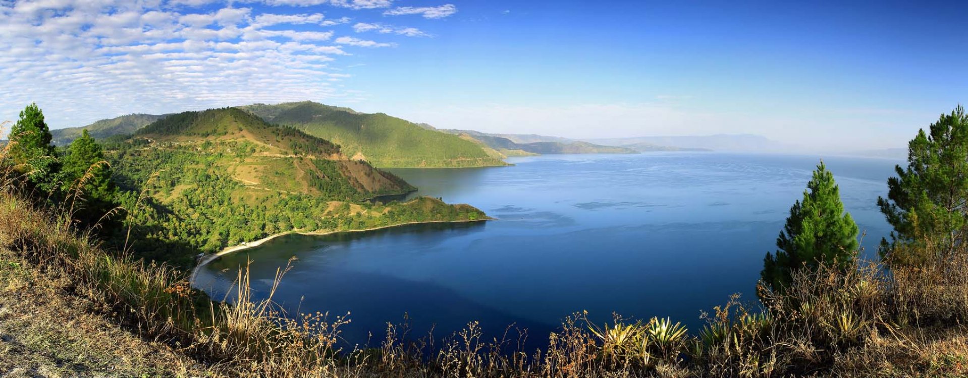 Orang-oetans, Sumatra