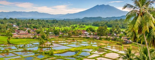 id, sumatra, countryside.jpg