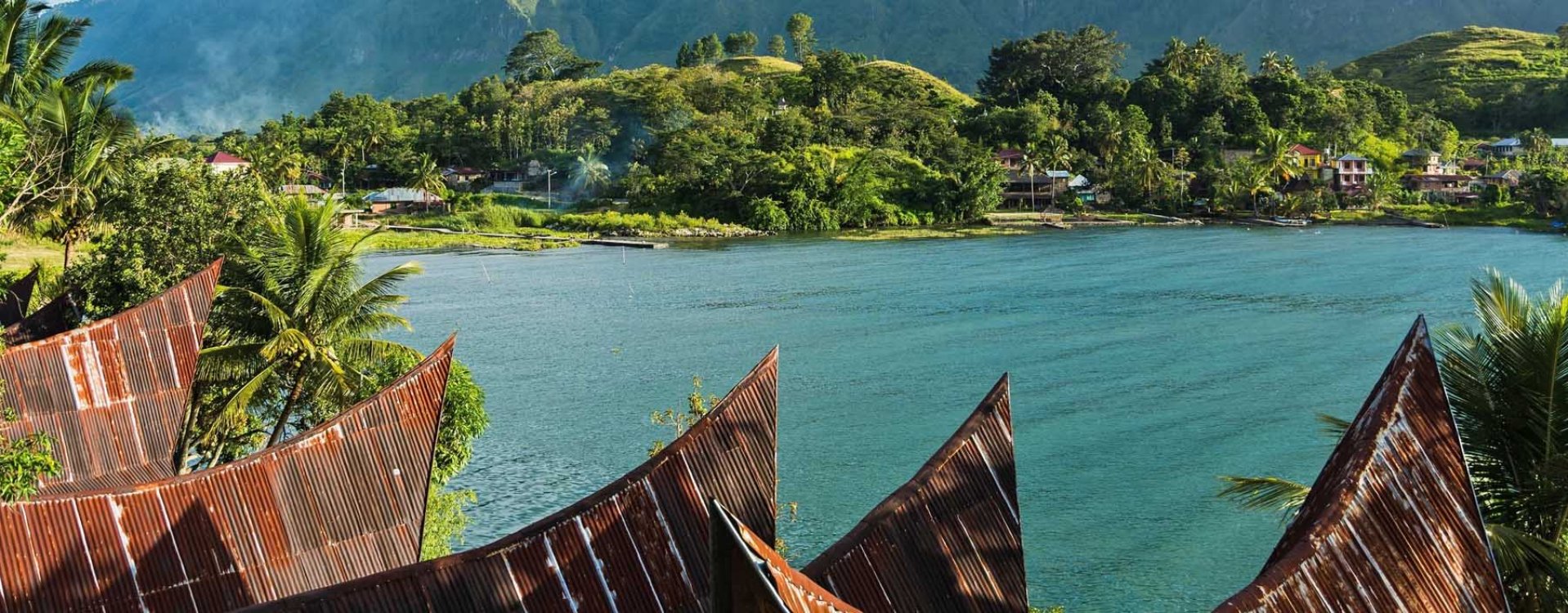 Orang-oetans, Bukit Lawang, Sumatra