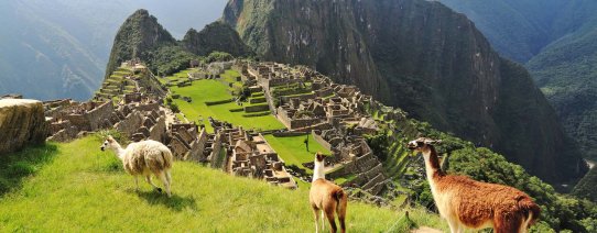 Machu Picchu