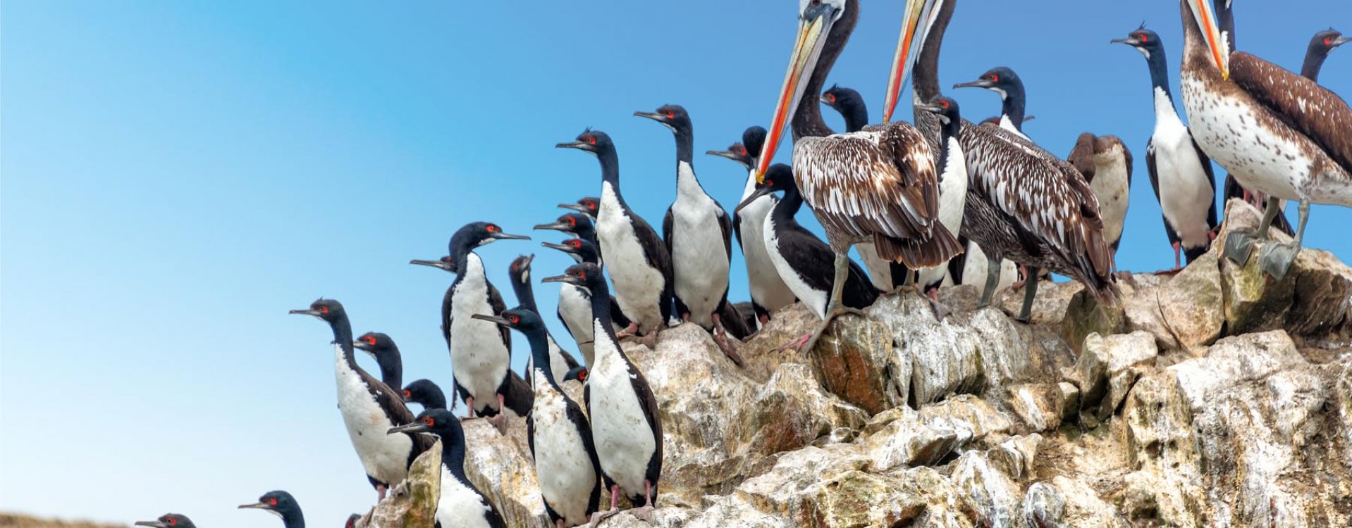 De Ballestas eilanden