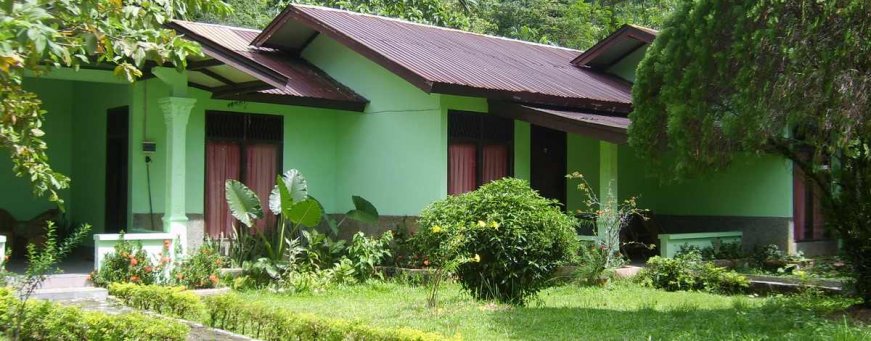 id_sumatra_bukit lawang_ecolodge (4) .jpg