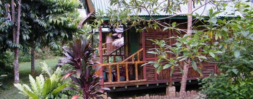 id_sumatra_tangkahan_mega inn guesthouse (3).jpg