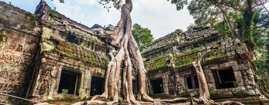 KH, siem reap, angkor, ta promh temple (1) b.jpg