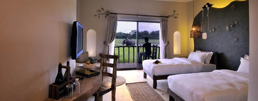 np_chitwan_bahari jungle lodge_deluxe room (3).jpg