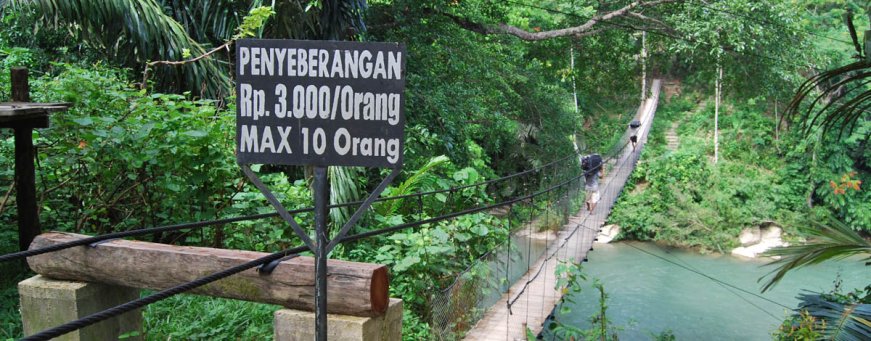 id, sumatra, tangkahan, mega inn guesthouse(1).jpg