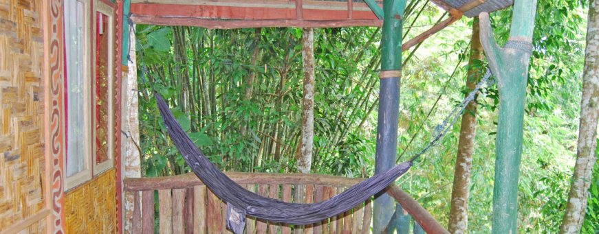 id, sumatra, tangkahan, mega inn guesthouse(3).jpg