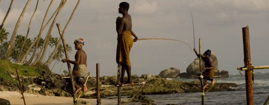 sri lanka, algemeen, stilt fishermen (2).jpg