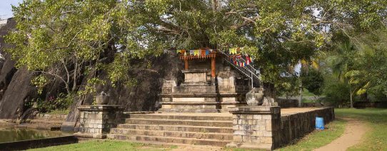 sri lanka, anuradhapura, bodhi tree.jpg