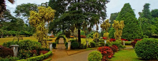 Botanische tuinen bij Kandy