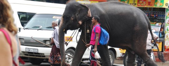 Kandy