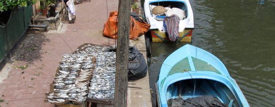 sri lanka, negombo, canal (2).jpg