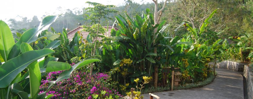 id_bali_munduk_munduk moding plantation (35).jpg