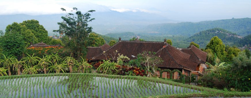 id_bali_munduk_puri lumbung (8).jpg