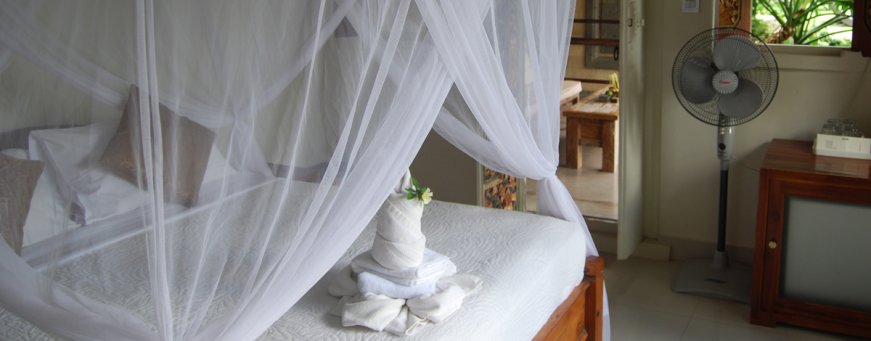 id_bali_sidemen_sawah indah villa standard budget (3).jpg