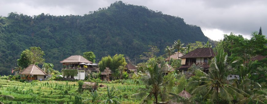 id_bali_sidemen_sawah indah villa (6).jpg