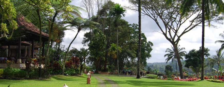 id_java_ijen_ijen resort (4).jpg