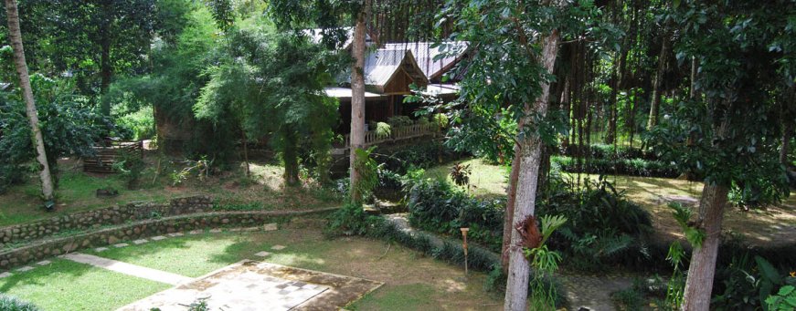id_sumatra_bukit lawang_ecolodge (53).jpg