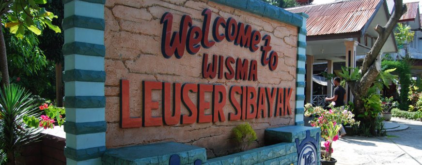 id_sumatra_bukit lawang_wisma leuser sibayak