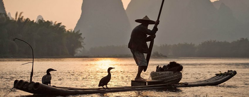 cn, yangshuo,aalscholver vissen.jpg